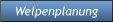 Welpenplanung